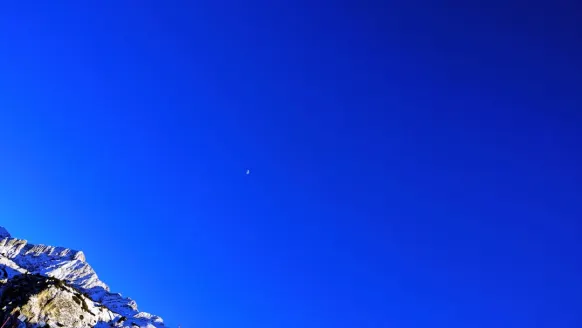 Casino Bet Rocker Suporte